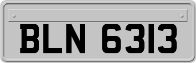 BLN6313