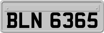 BLN6365