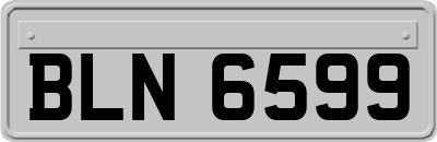 BLN6599