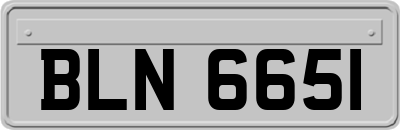 BLN6651