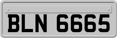 BLN6665
