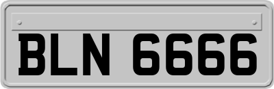 BLN6666