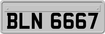 BLN6667