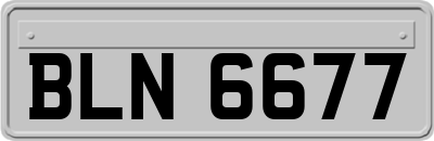 BLN6677