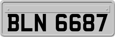BLN6687