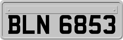BLN6853