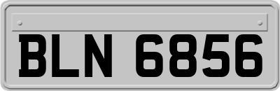 BLN6856