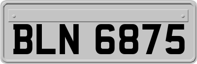 BLN6875