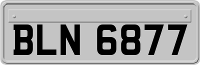 BLN6877