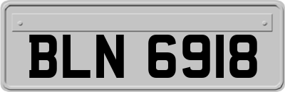 BLN6918