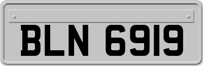 BLN6919