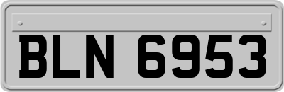 BLN6953