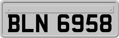 BLN6958
