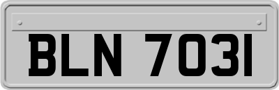 BLN7031