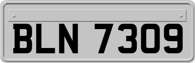 BLN7309