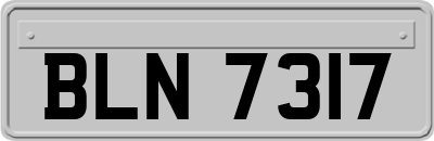 BLN7317