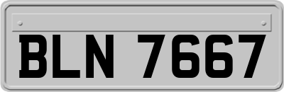 BLN7667