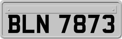 BLN7873