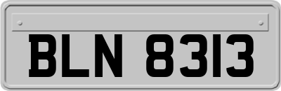BLN8313