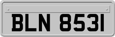 BLN8531