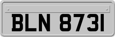 BLN8731