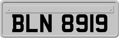 BLN8919