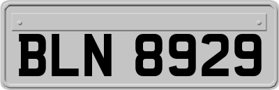 BLN8929