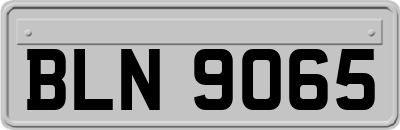 BLN9065