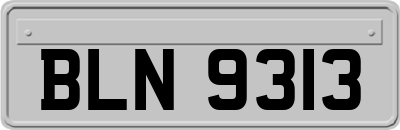 BLN9313
