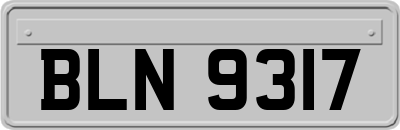 BLN9317