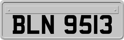 BLN9513