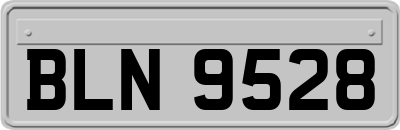 BLN9528
