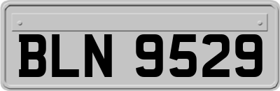 BLN9529
