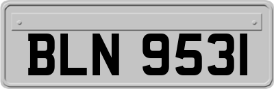 BLN9531