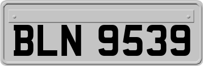 BLN9539