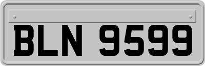BLN9599