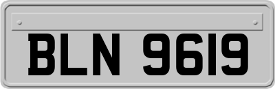 BLN9619