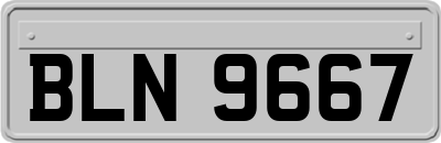 BLN9667