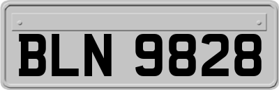 BLN9828