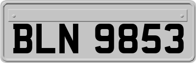 BLN9853