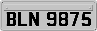 BLN9875