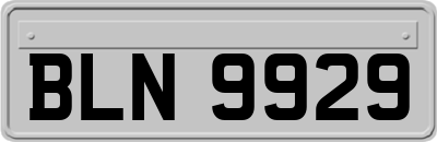 BLN9929