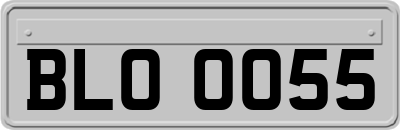 BLO0055