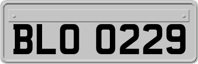 BLO0229
