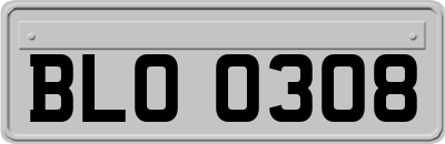 BLO0308
