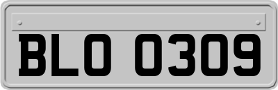 BLO0309