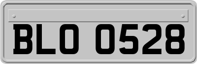 BLO0528