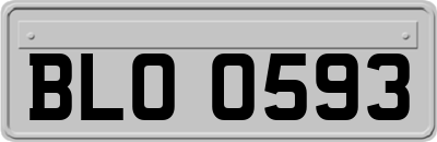 BLO0593