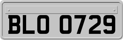 BLO0729
