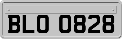 BLO0828